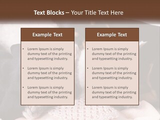 A Group Of Dogs And A Cat Sleeping Together PowerPoint Template