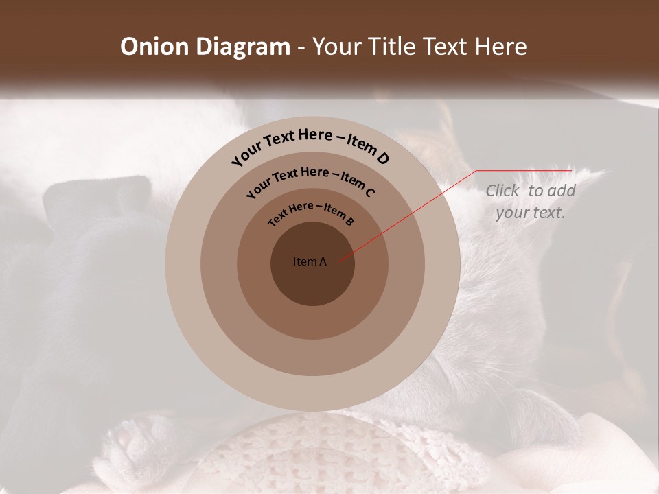 A Group Of Dogs And A Cat Sleeping Together PowerPoint Template