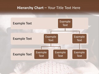 A Group Of Dogs And A Cat Sleeping Together PowerPoint Template