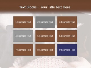 A Group Of Dogs And A Cat Sleeping Together PowerPoint Template