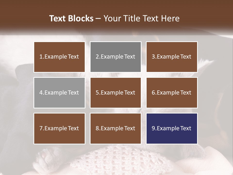 A Group Of Dogs And A Cat Sleeping Together PowerPoint Template