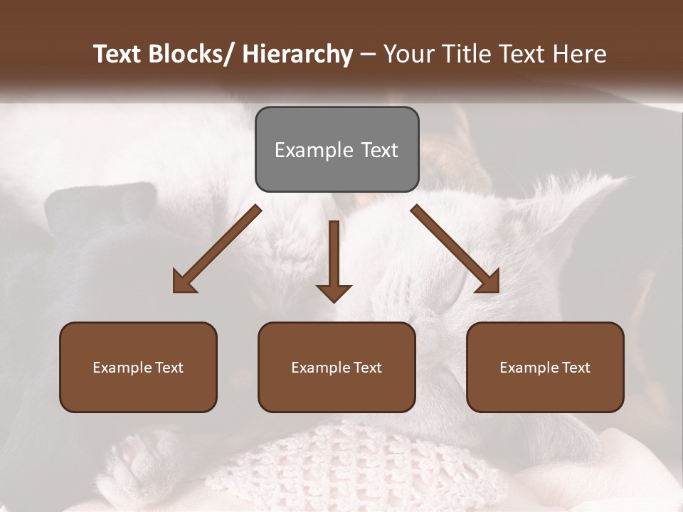 A Group Of Dogs And A Cat Sleeping Together PowerPoint Template