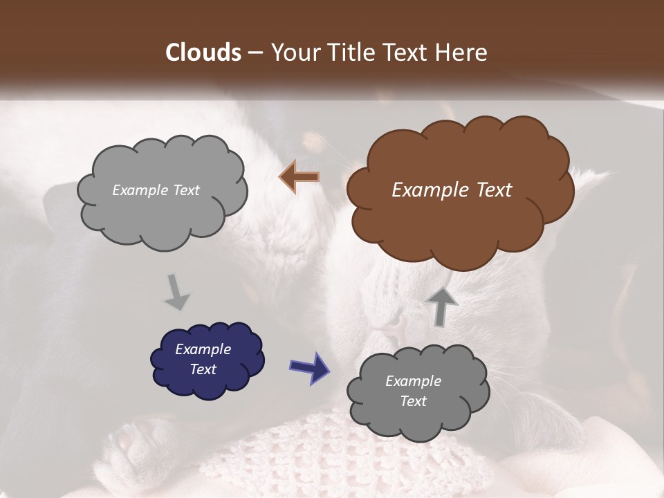 A Group Of Dogs And A Cat Sleeping Together PowerPoint Template