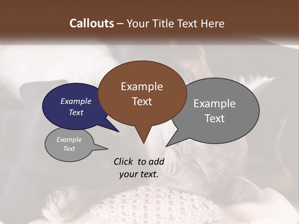 A Group Of Dogs And A Cat Sleeping Together PowerPoint Template