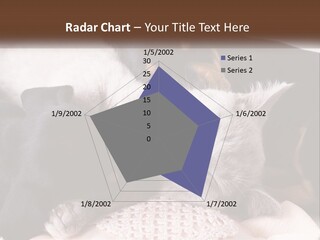 A Group Of Dogs And A Cat Sleeping Together PowerPoint Template