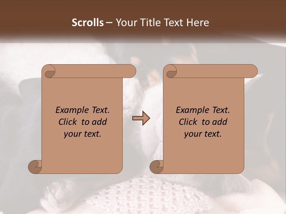 A Group Of Dogs And A Cat Sleeping Together PowerPoint Template