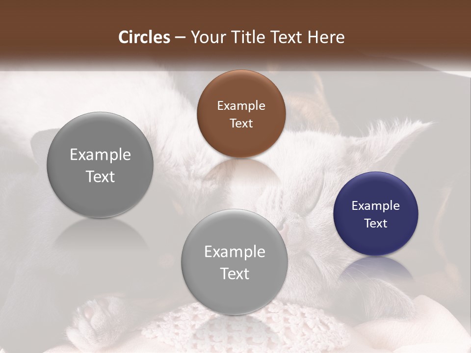 A Group Of Dogs And A Cat Sleeping Together PowerPoint Template