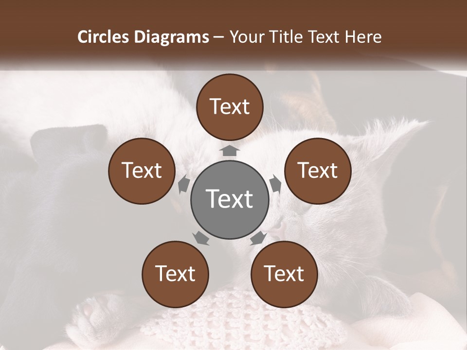 A Group Of Dogs And A Cat Sleeping Together PowerPoint Template