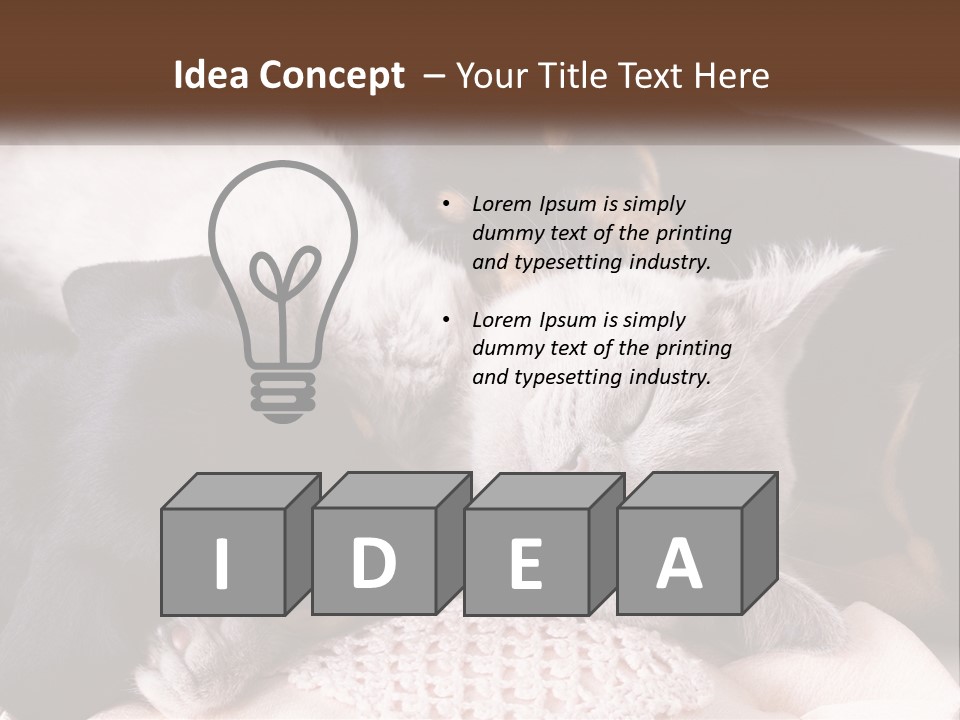 A Group Of Dogs And A Cat Sleeping Together PowerPoint Template