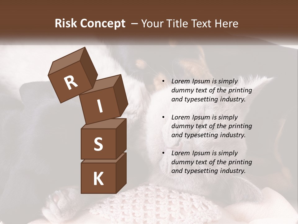 A Group Of Dogs And A Cat Sleeping Together PowerPoint Template