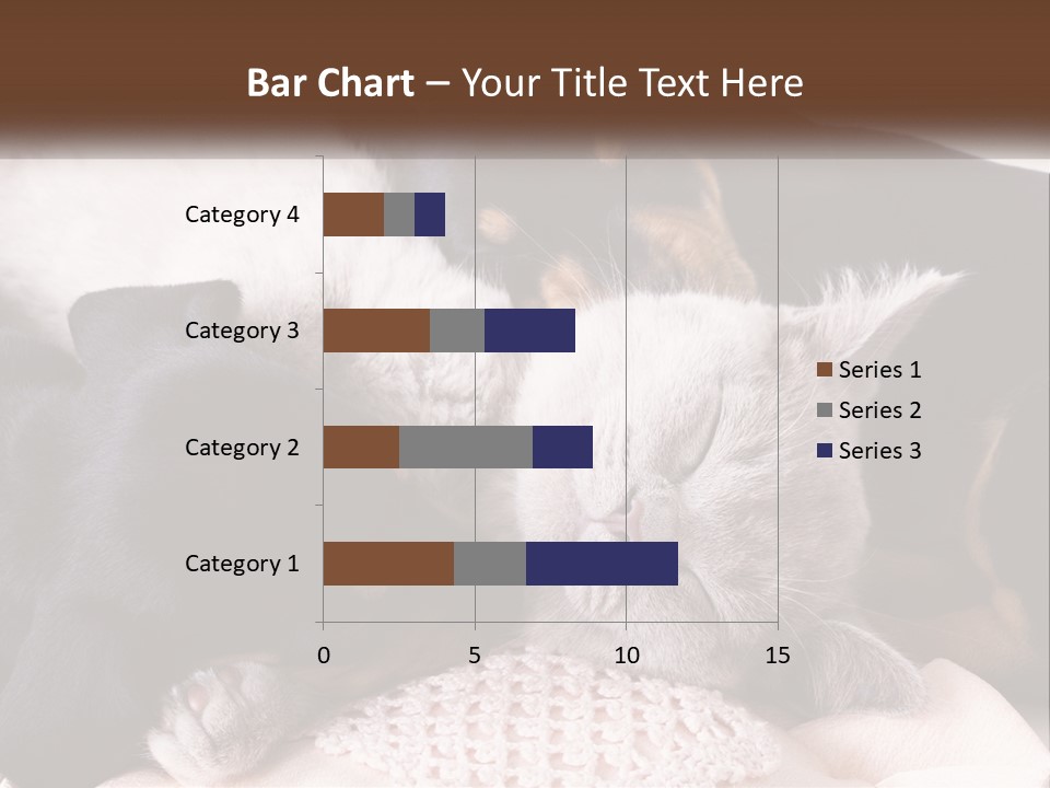 A Group Of Dogs And A Cat Sleeping Together PowerPoint Template