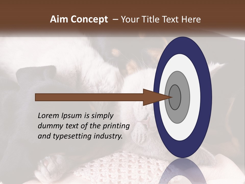 A Group Of Dogs And A Cat Sleeping Together PowerPoint Template