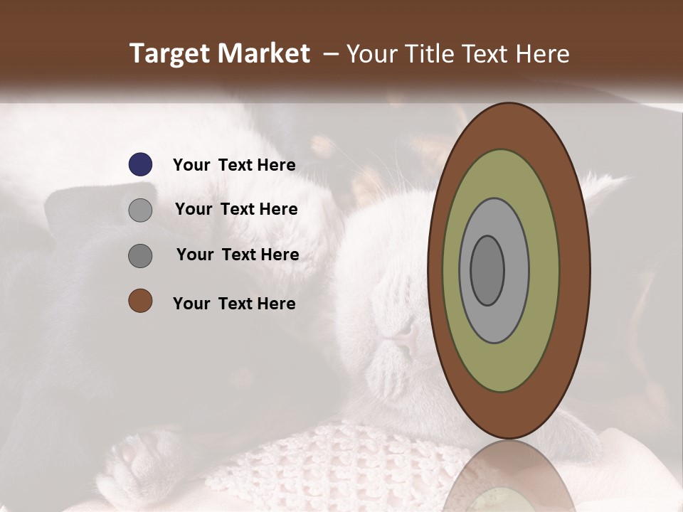 A Group Of Dogs And A Cat Sleeping Together PowerPoint Template