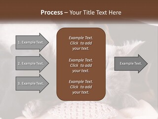 A Group Of Dogs And A Cat Sleeping Together PowerPoint Template