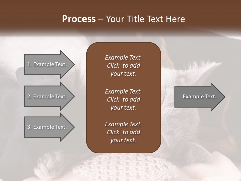 A Group Of Dogs And A Cat Sleeping Together PowerPoint Template