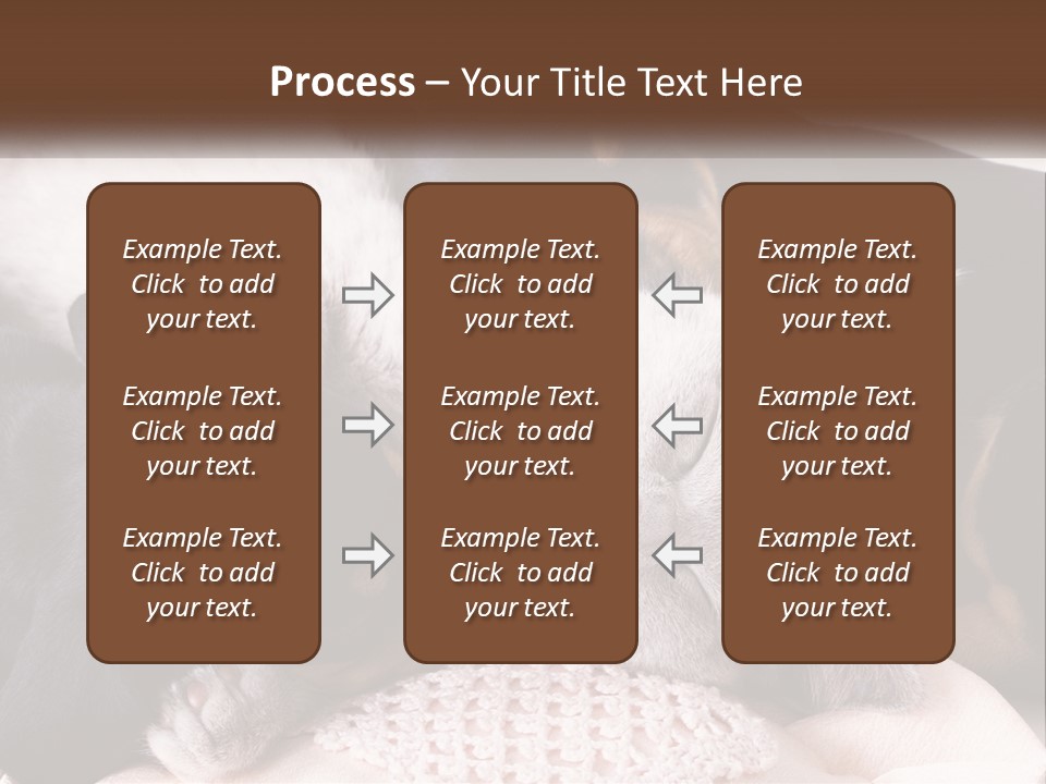 A Group Of Dogs And A Cat Sleeping Together PowerPoint Template