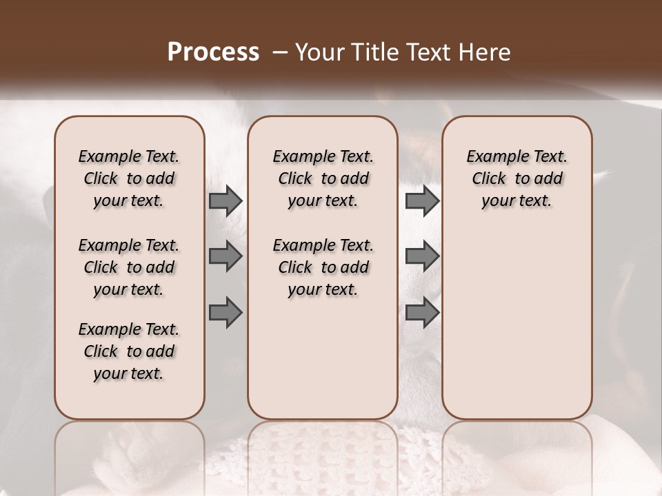 A Group Of Dogs And A Cat Sleeping Together PowerPoint Template