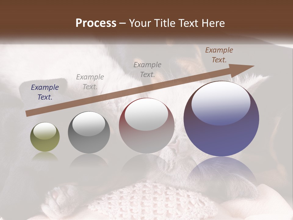 A Group Of Dogs And A Cat Sleeping Together PowerPoint Template