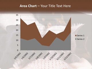 A Group Of Dogs And A Cat Sleeping Together PowerPoint Template