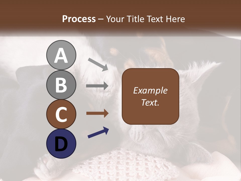 A Group Of Dogs And A Cat Sleeping Together PowerPoint Template