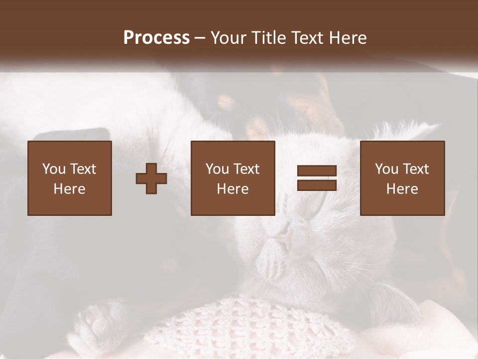 A Group Of Dogs And A Cat Sleeping Together PowerPoint Template