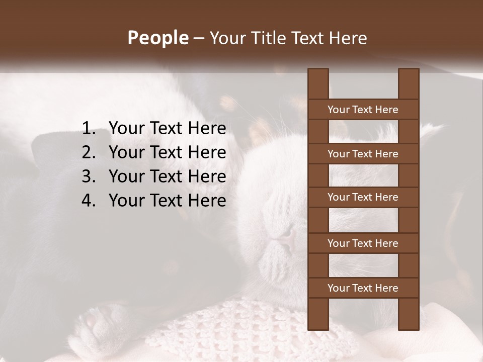 A Group Of Dogs And A Cat Sleeping Together PowerPoint Template