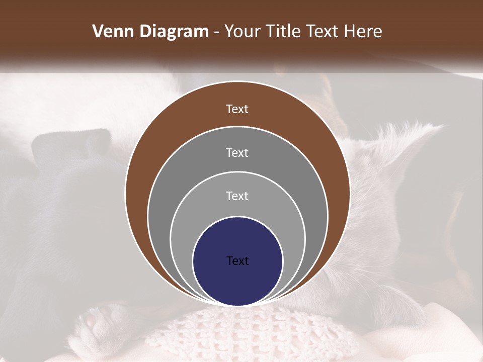 A Group Of Dogs And A Cat Sleeping Together PowerPoint Template