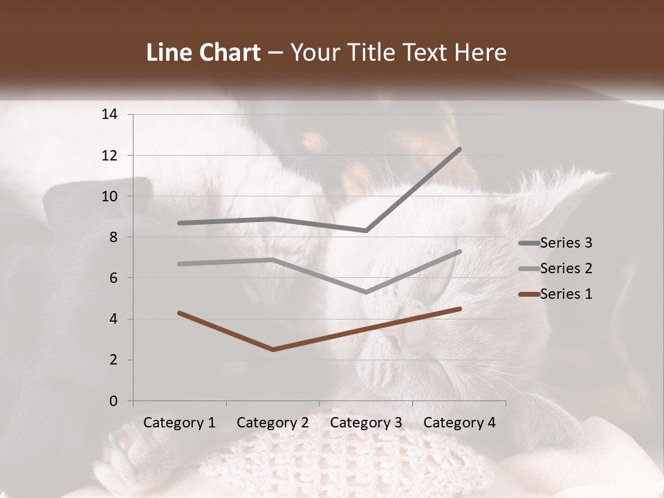 A Group Of Dogs And A Cat Sleeping Together PowerPoint Template