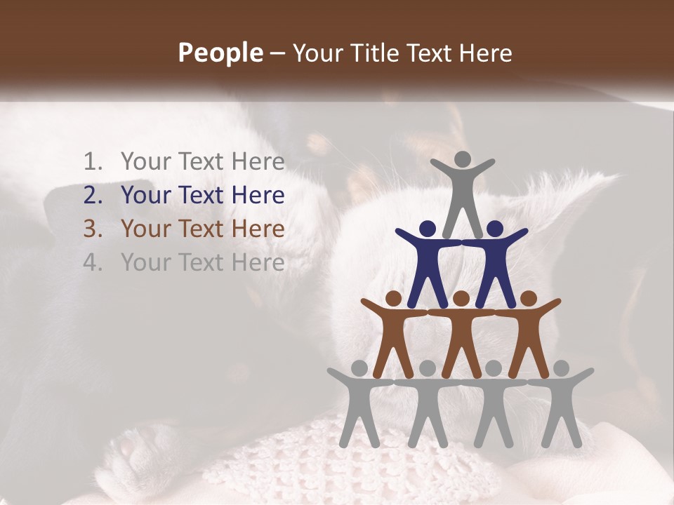 A Group Of Dogs And A Cat Sleeping Together PowerPoint Template