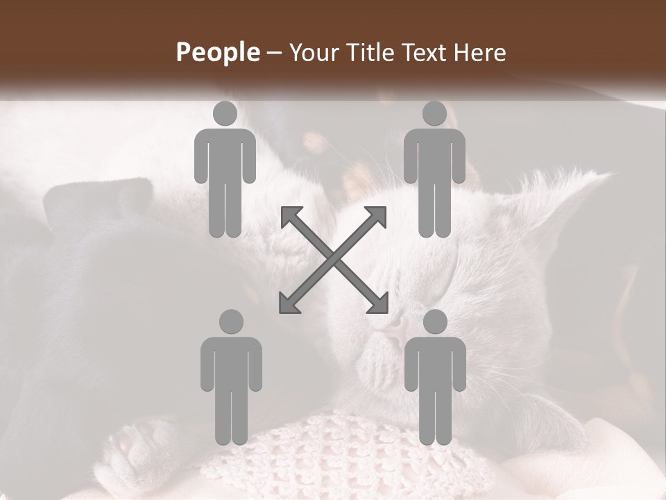 A Group Of Dogs And A Cat Sleeping Together PowerPoint Template