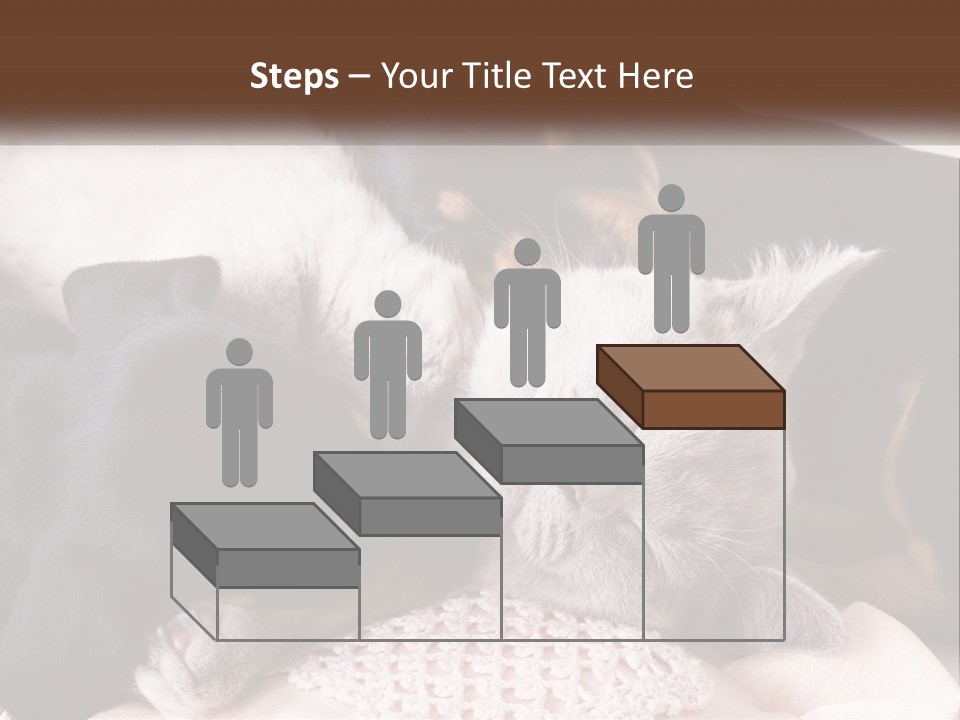 A Group Of Dogs And A Cat Sleeping Together PowerPoint Template