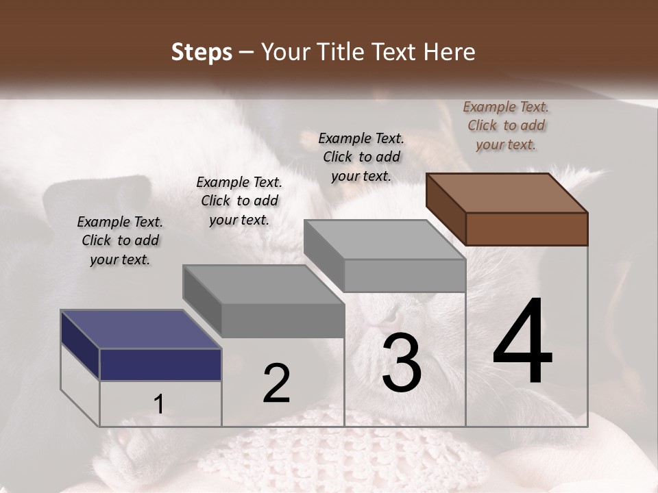 A Group Of Dogs And A Cat Sleeping Together PowerPoint Template