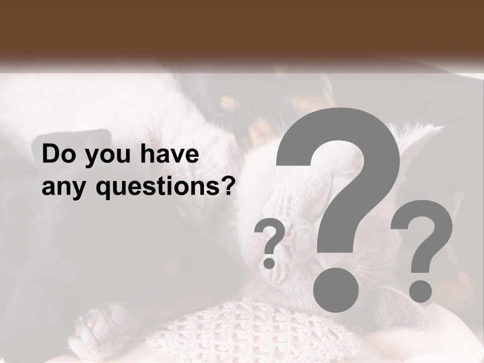 A Group Of Dogs And A Cat Sleeping Together PowerPoint Template