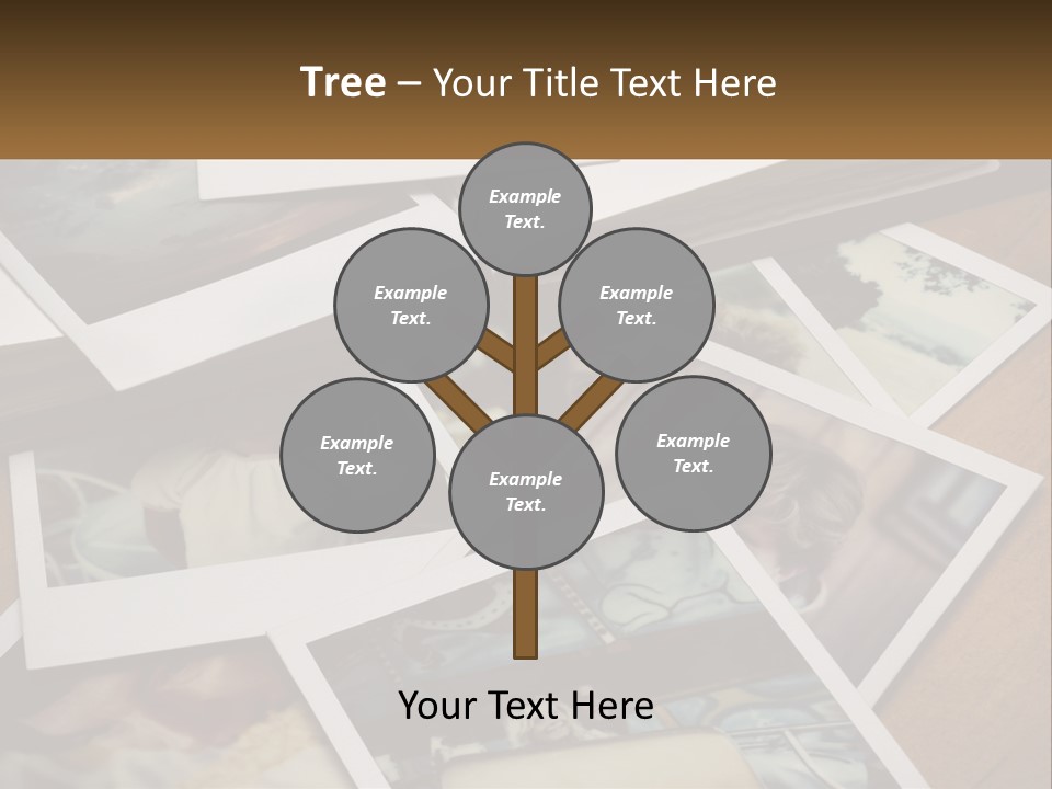 Photographs PowerPoint Template