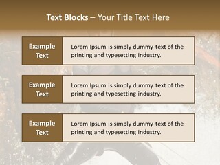 A Man Riding A Wave On Top Of A Surfboard PowerPoint Template