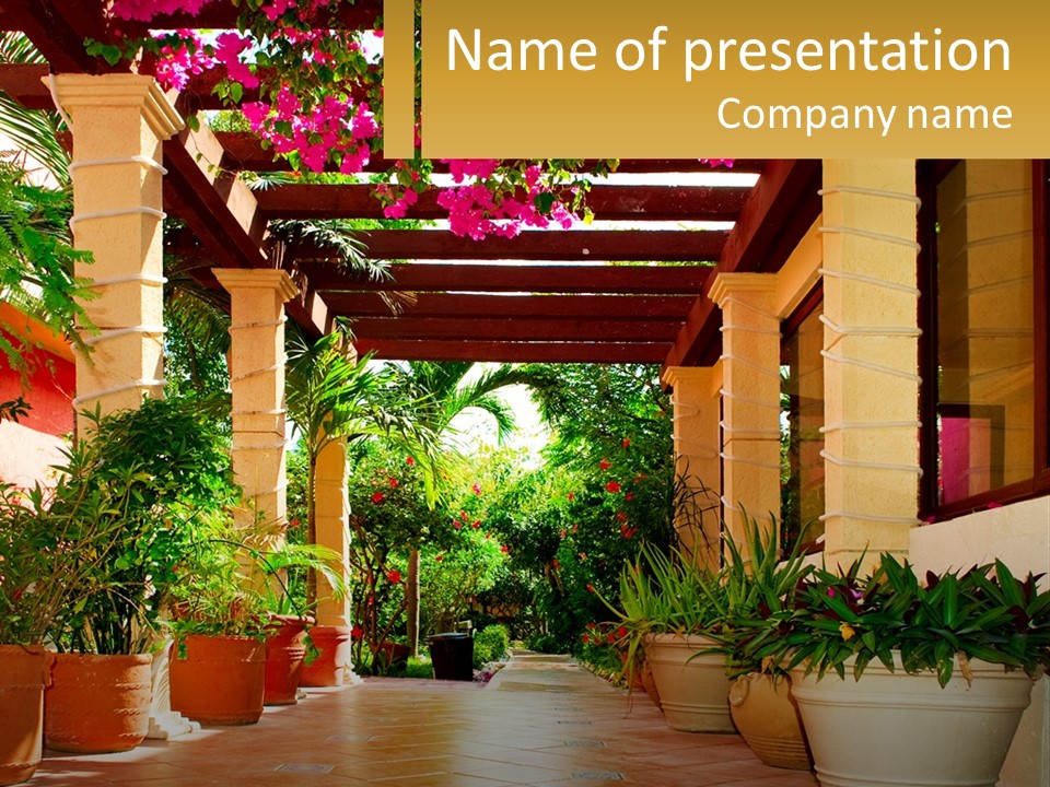 A Large Group Of Potted Plants On A Patio PowerPoint Template