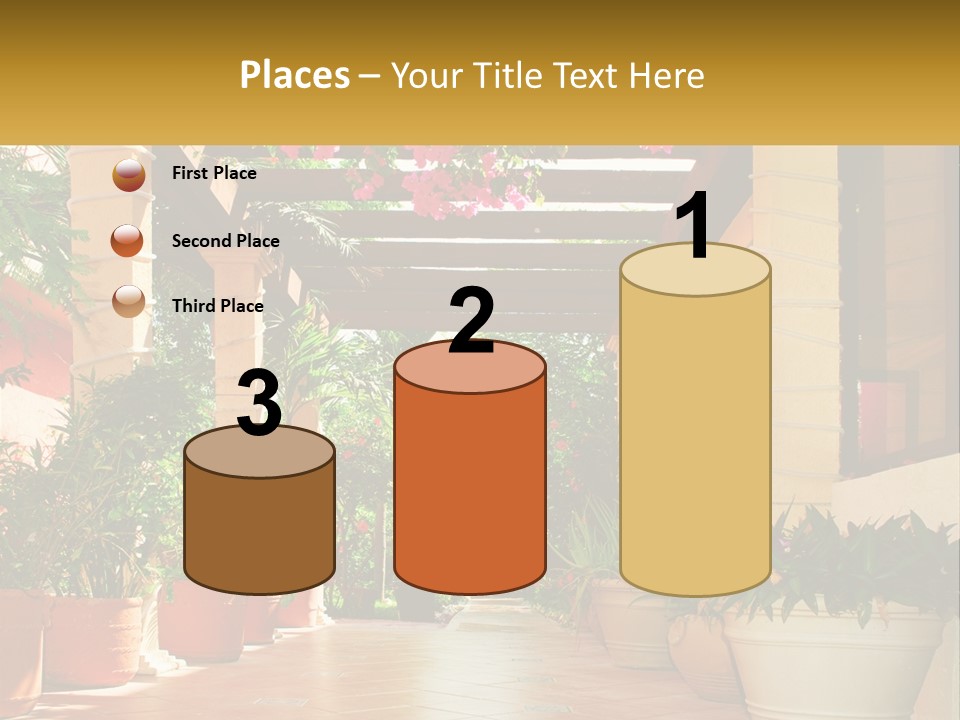 A Large Group Of Potted Plants On A Patio PowerPoint Template