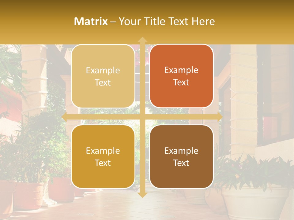 A Large Group Of Potted Plants On A Patio PowerPoint Template