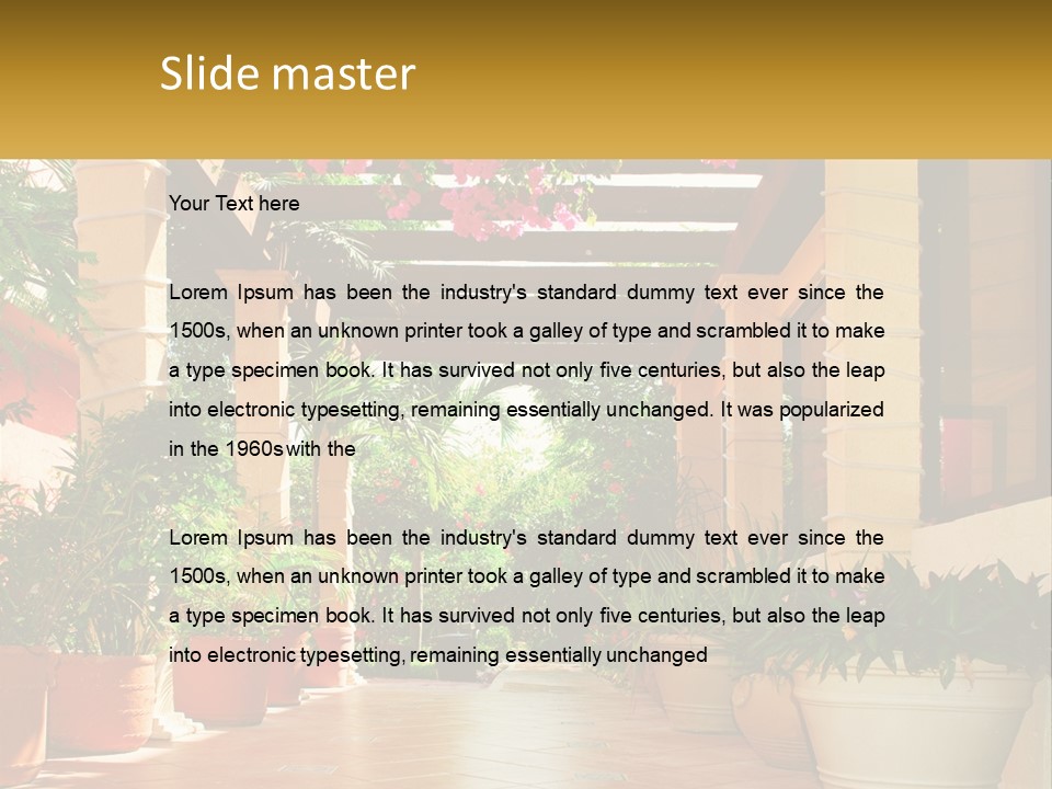 A Large Group Of Potted Plants On A Patio PowerPoint Template