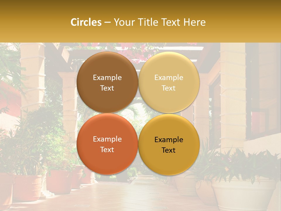 A Large Group Of Potted Plants On A Patio PowerPoint Template