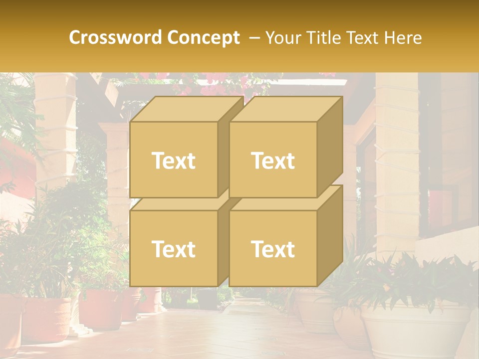 A Large Group Of Potted Plants On A Patio PowerPoint Template