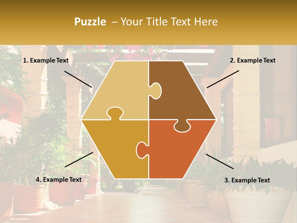 A Large Group Of Potted Plants On A Patio PowerPoint Template