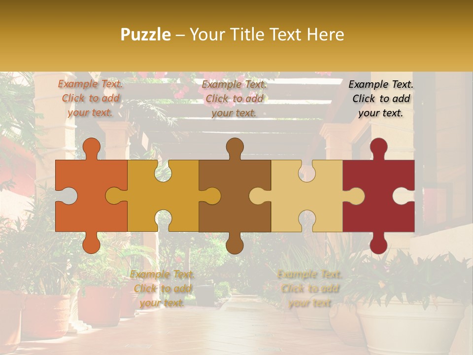 A Large Group Of Potted Plants On A Patio PowerPoint Template