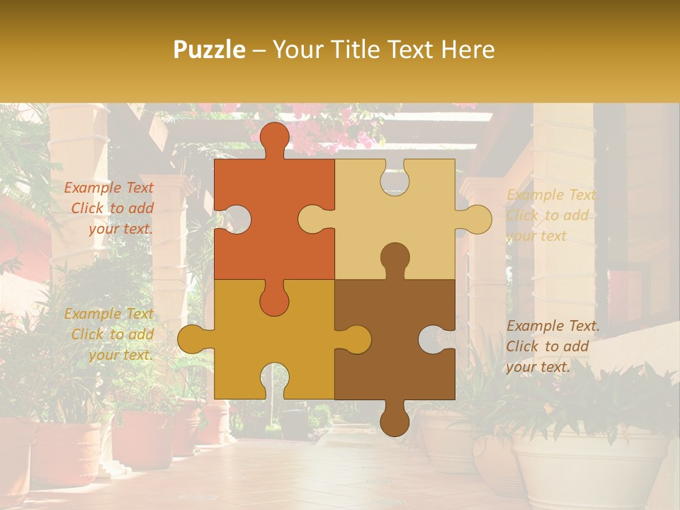 A Large Group Of Potted Plants On A Patio PowerPoint Template