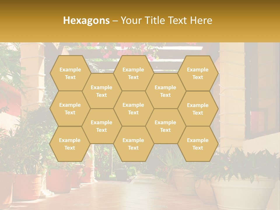 A Large Group Of Potted Plants On A Patio PowerPoint Template