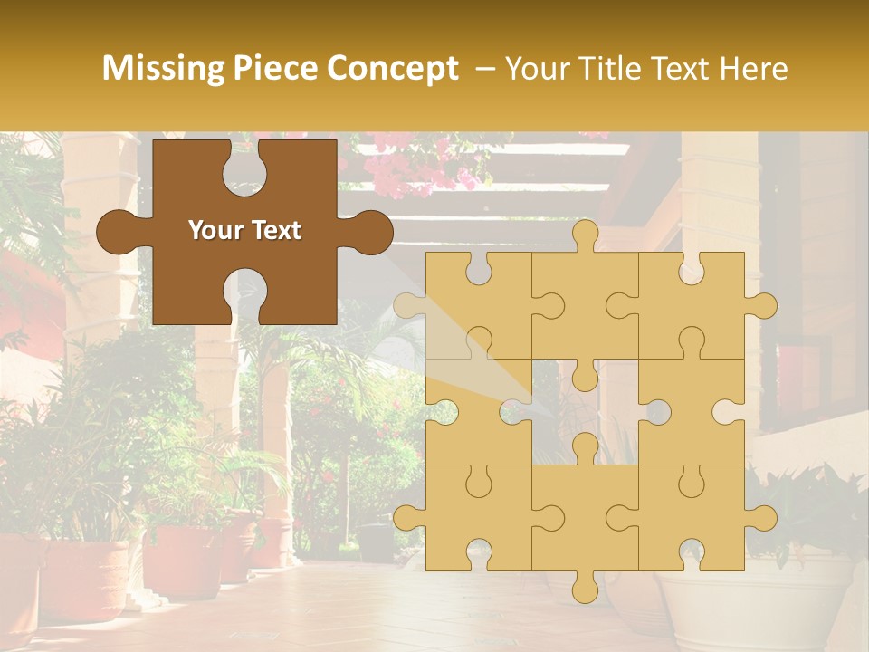 A Large Group Of Potted Plants On A Patio PowerPoint Template