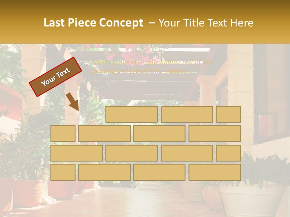 A Large Group Of Potted Plants On A Patio PowerPoint Template