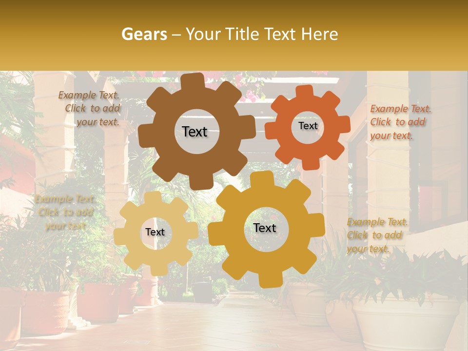 A Large Group Of Potted Plants On A Patio PowerPoint Template