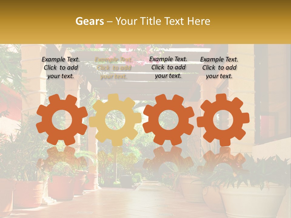 A Large Group Of Potted Plants On A Patio PowerPoint Template