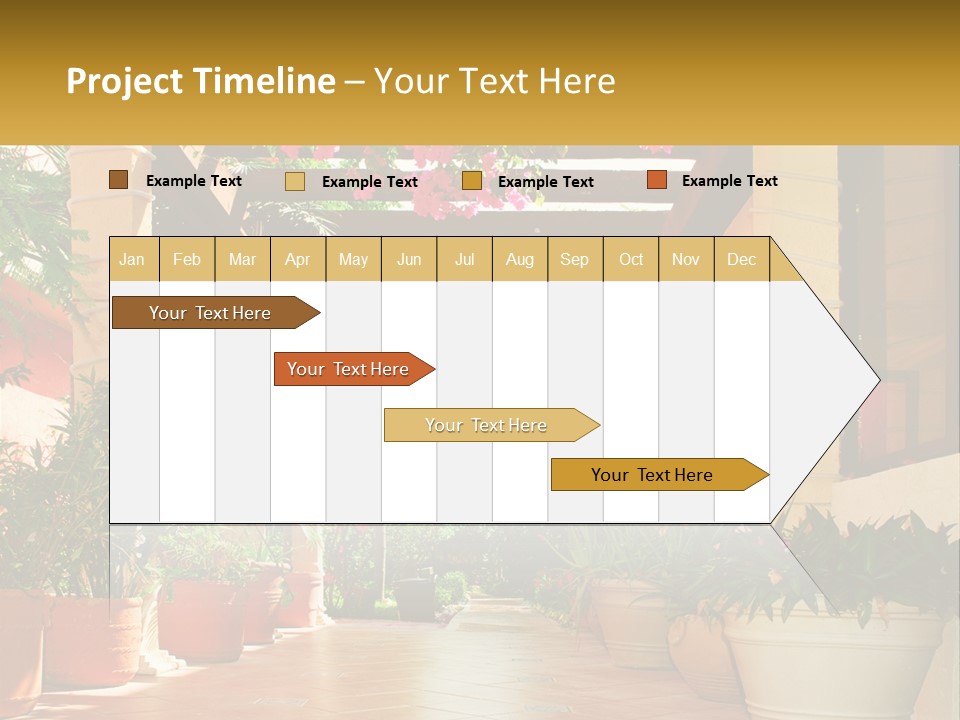 A Large Group Of Potted Plants On A Patio PowerPoint Template